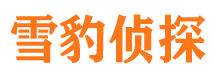 乐清侦探公司